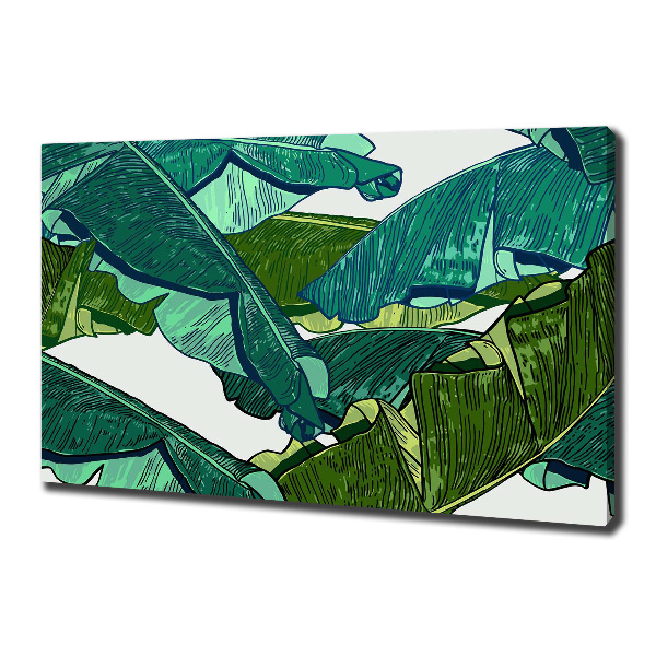 Canvas wall art Banana leaves