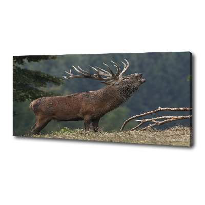 Canvas wall art Deer on the hill