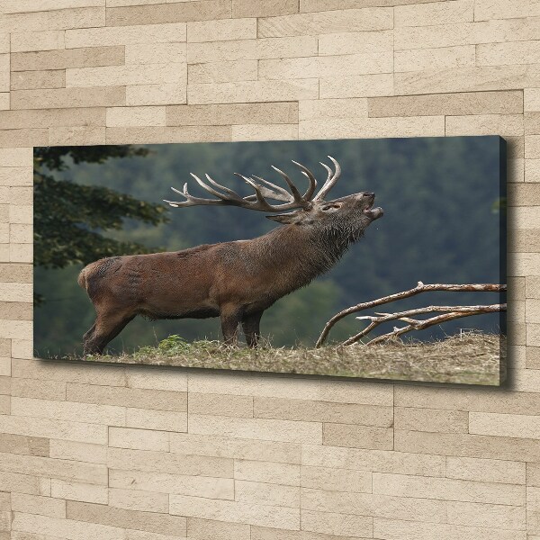 Canvas wall art Deer on the hill