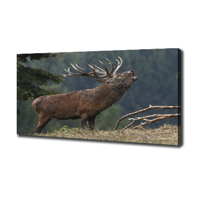 Canvas wall art Deer on the hill