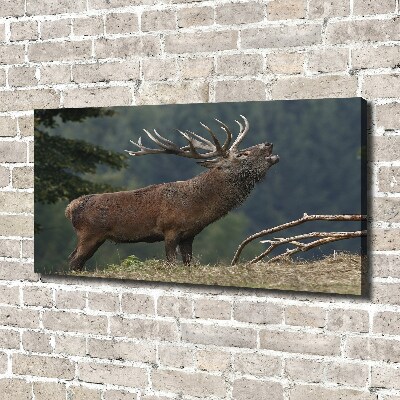 Canvas wall art Deer on the hill