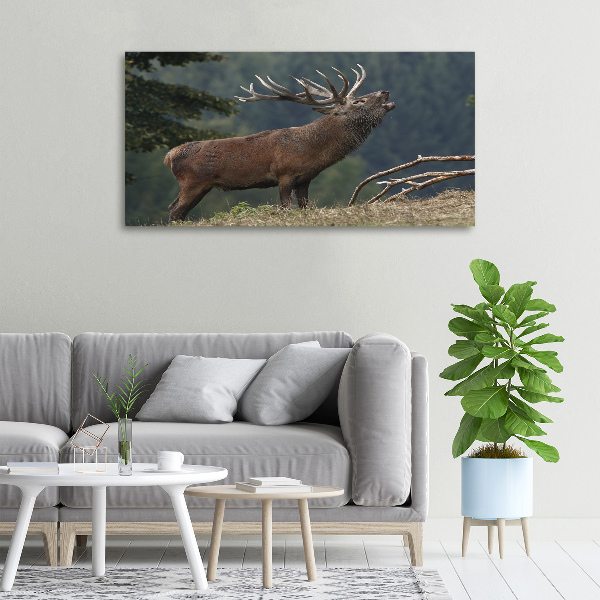 Canvas wall art Deer on the hill