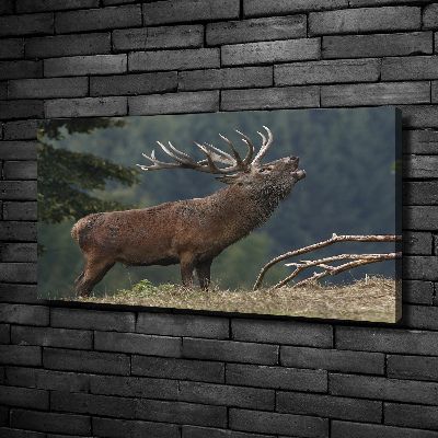 Canvas wall art Deer on the hill