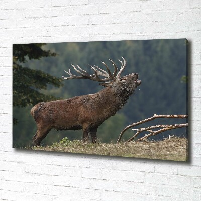 Canvas wall art Deer on the hill