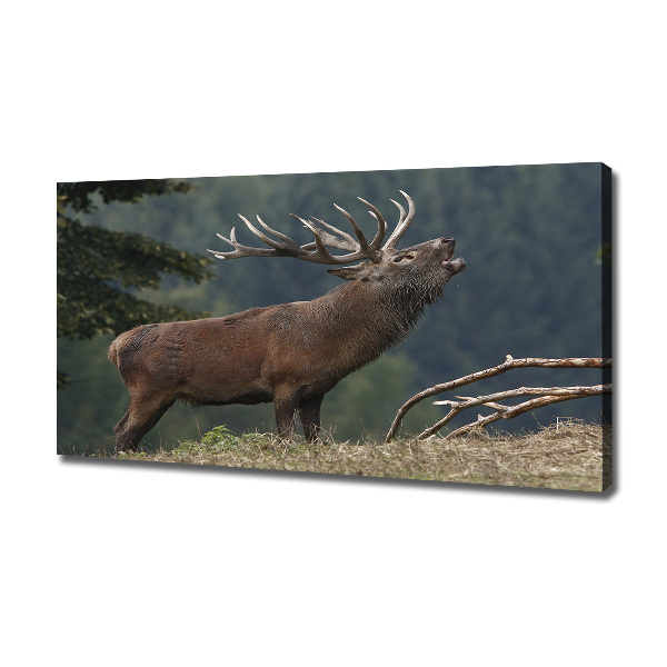 Canvas wall art Deer on the hill