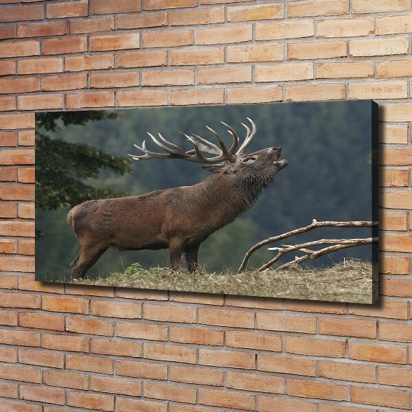 Canvas wall art Deer on the hill