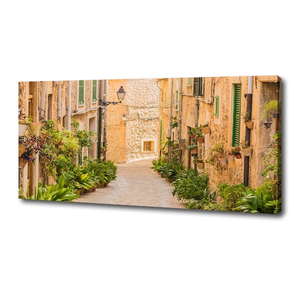 Canvas wall art Historic streets