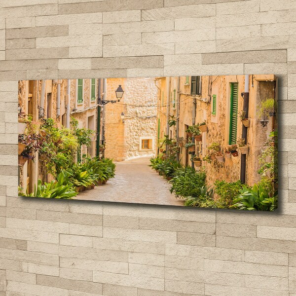 Canvas wall art Historic streets