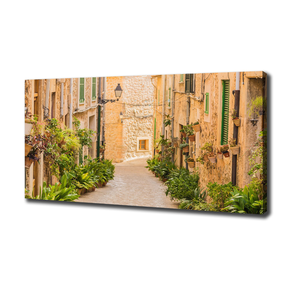 Canvas wall art Historic streets