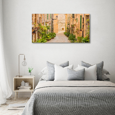 Canvas wall art Historic streets