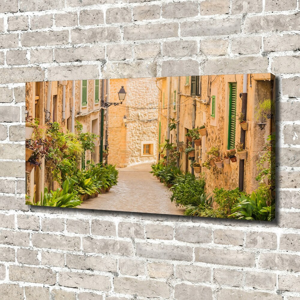 Canvas wall art Historic streets