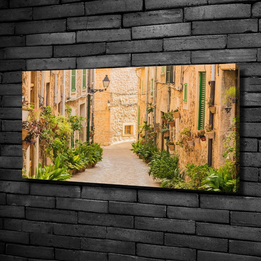 Canvas wall art Historic streets