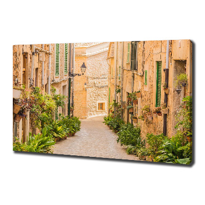 Canvas wall art Historic streets