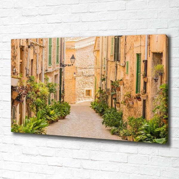 Canvas wall art Historic streets