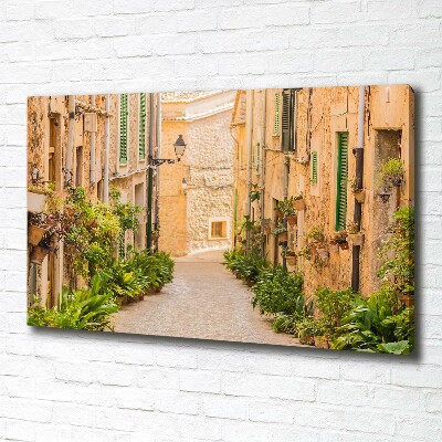 Canvas wall art Historic streets