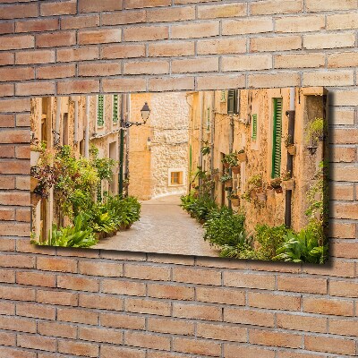 Canvas wall art Historic streets