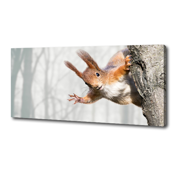 Canvas wall art Squirrel