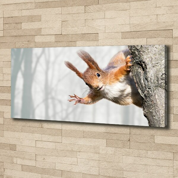 Canvas wall art Squirrel