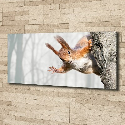 Canvas wall art Squirrel