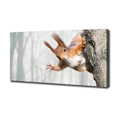 Canvas wall art Squirrel