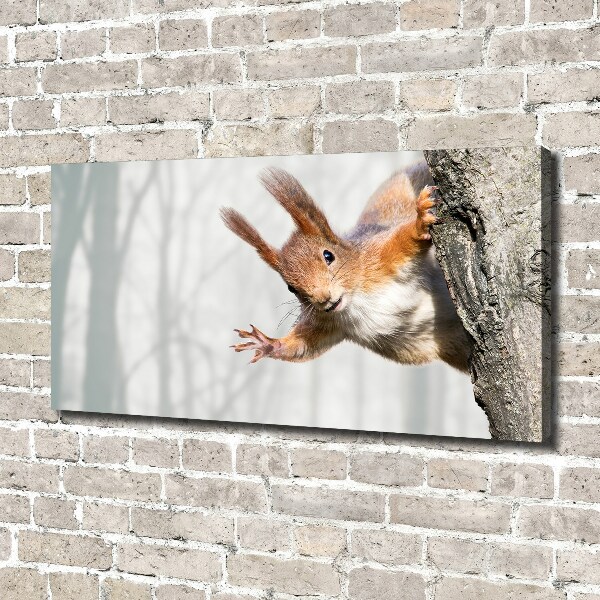 Canvas wall art Squirrel