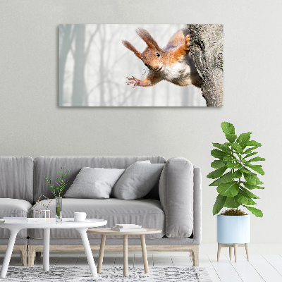 Canvas wall art Squirrel