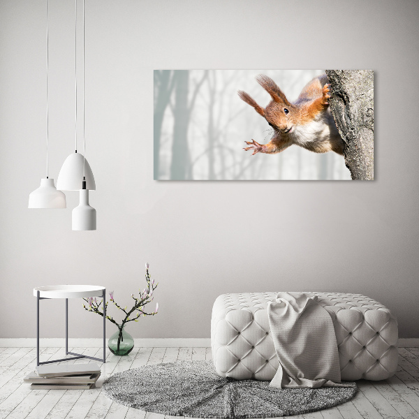 Canvas wall art Squirrel