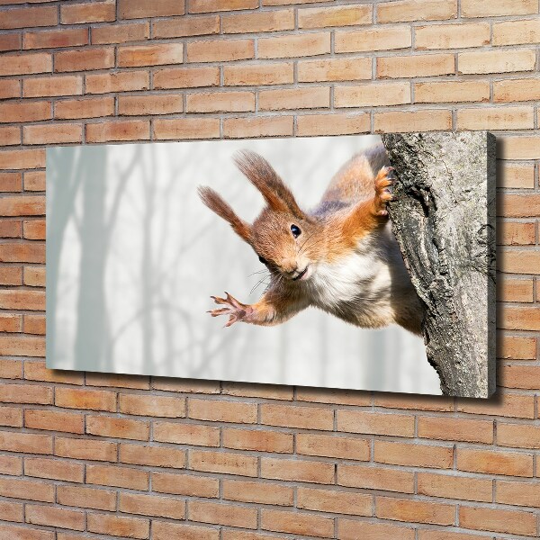 Canvas wall art Squirrel