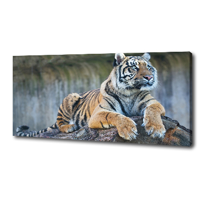 Canvas wall art Tiger