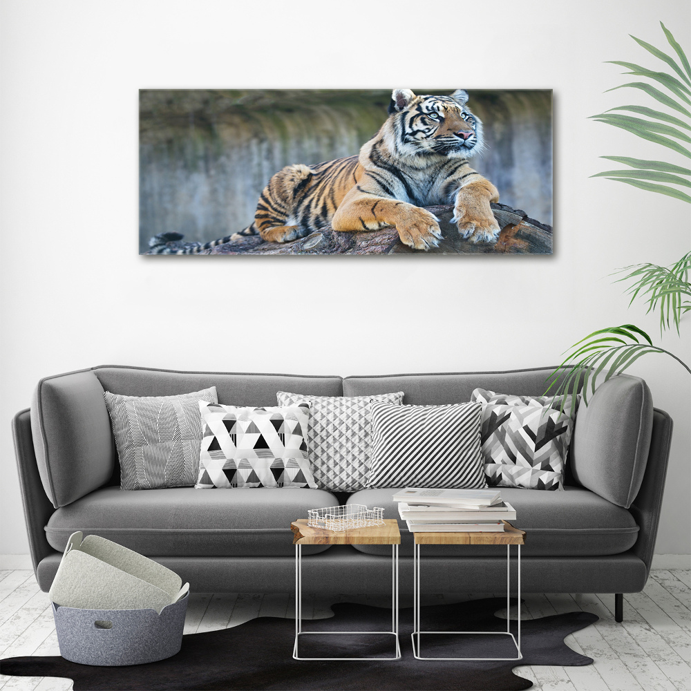 Canvas wall art Tiger