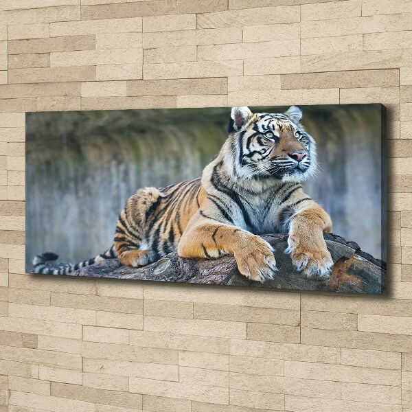 Canvas wall art Tiger