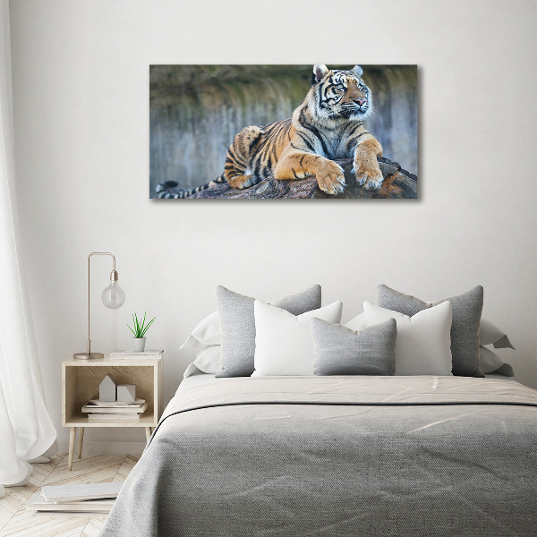 Canvas wall art Tiger