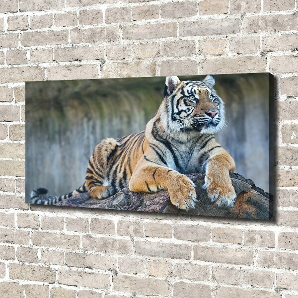 Canvas wall art Tiger