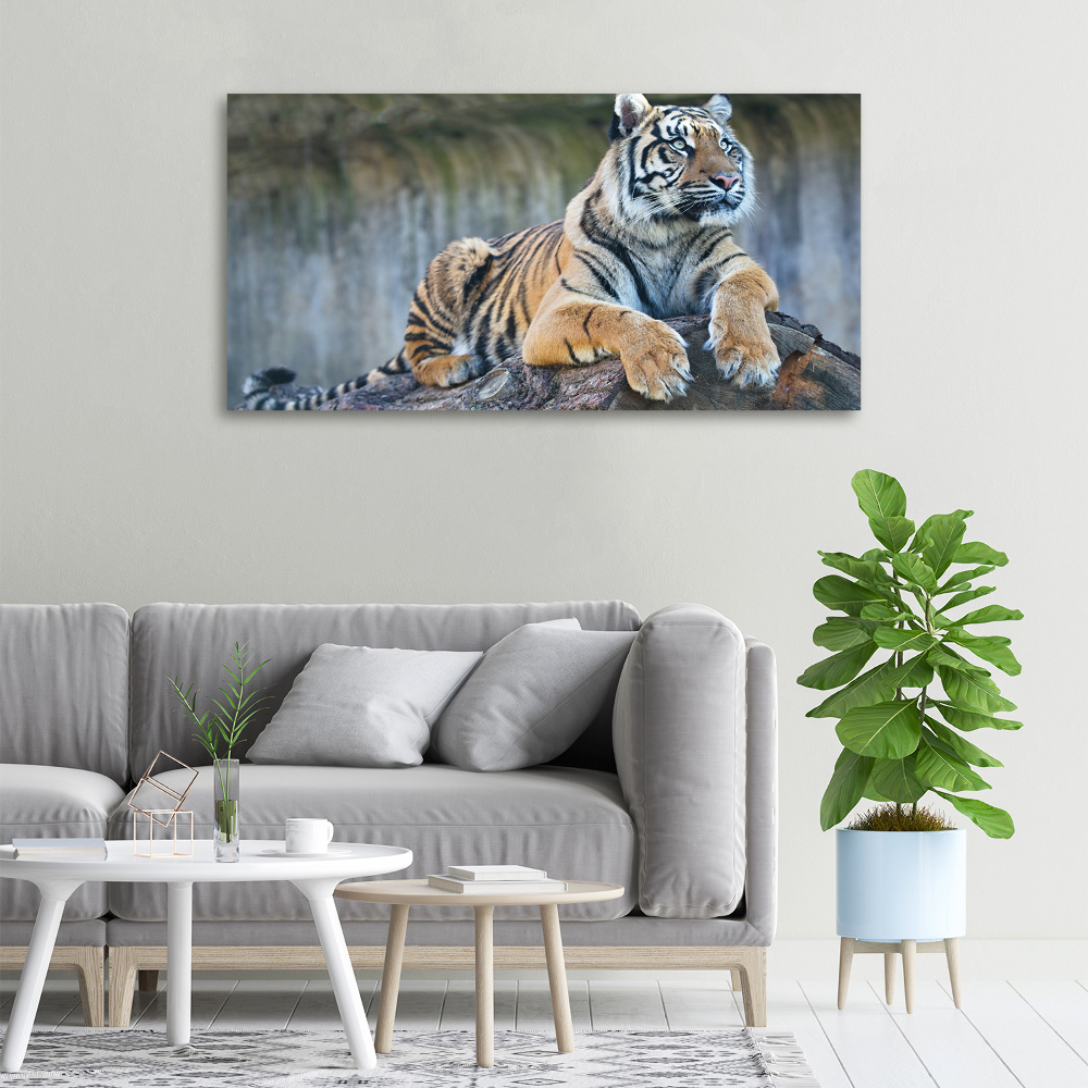 Canvas wall art Tiger