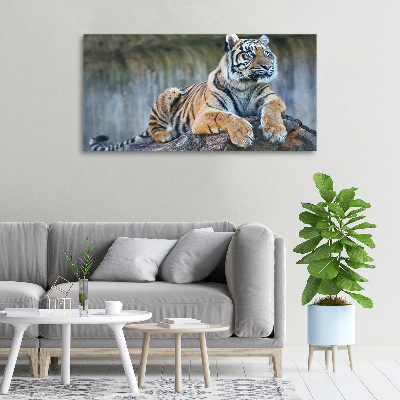 Canvas wall art Tiger