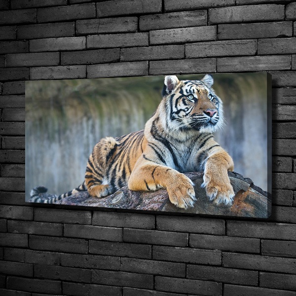 Canvas wall art Tiger