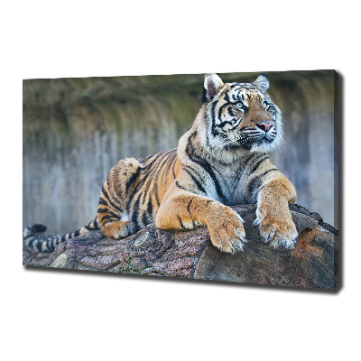 Canvas wall art Tiger