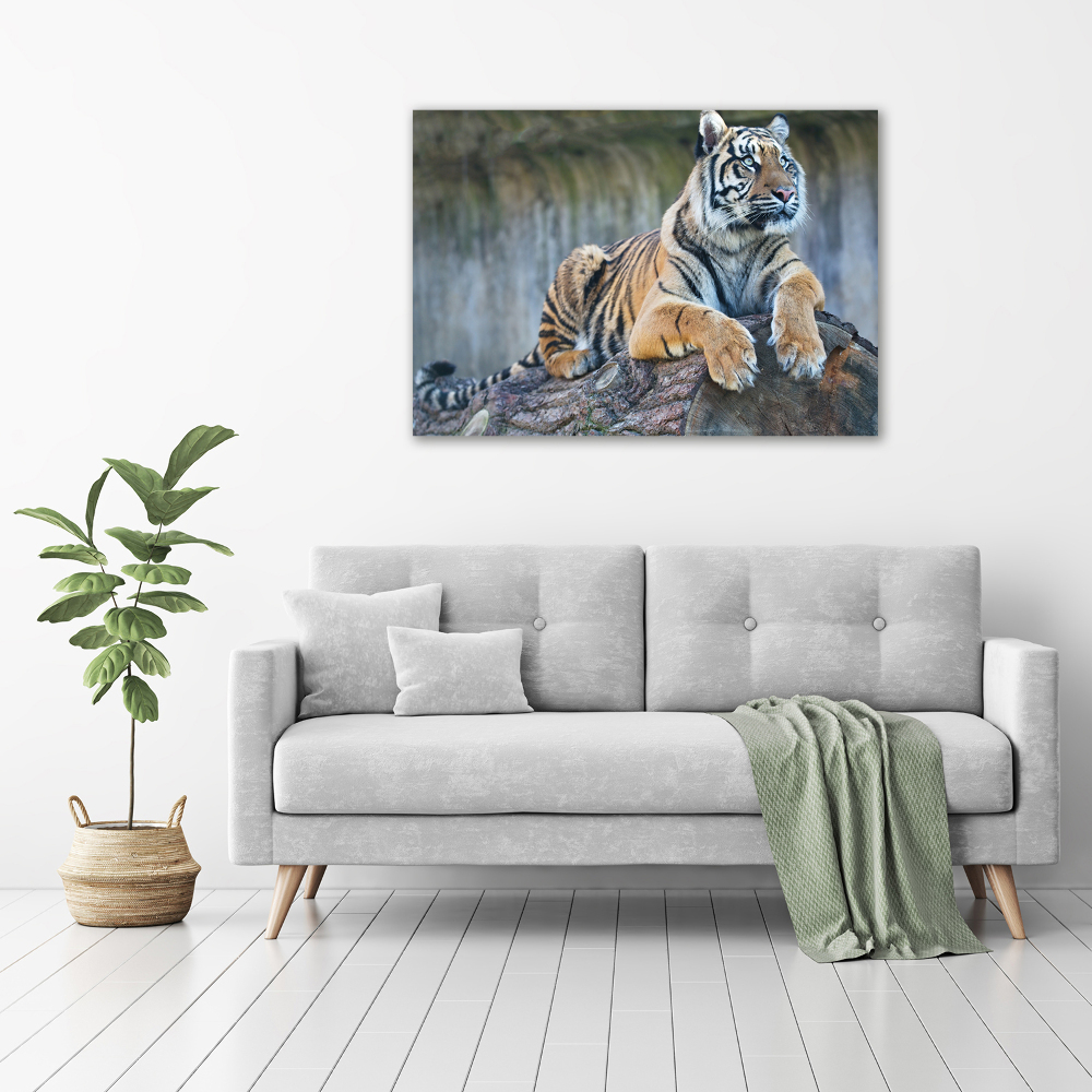 Canvas wall art Tiger