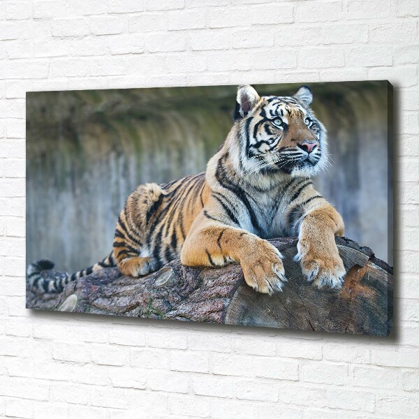 Canvas wall art Tiger