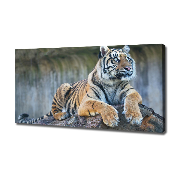 Canvas wall art Tiger