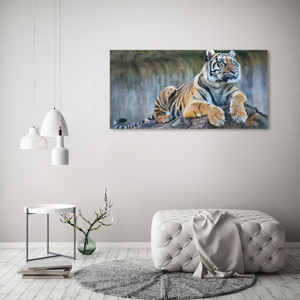 Canvas wall art Tiger