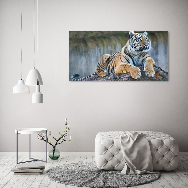 Canvas wall art Tiger