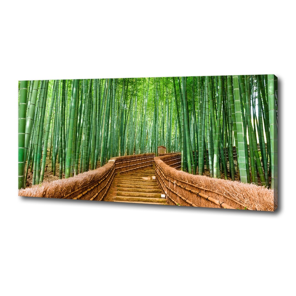 Canvas wall art Bamboo forest