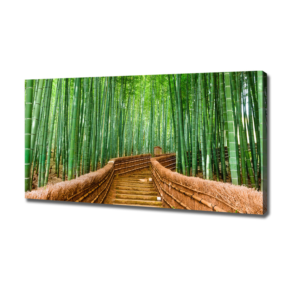 Canvas wall art Bamboo forest