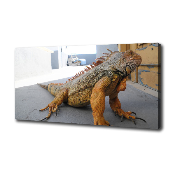 Canvas wall art Iguana