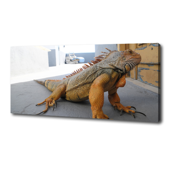 Canvas wall art Iguana