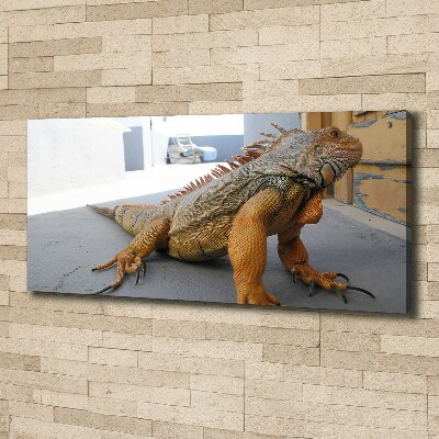 Canvas wall art Iguana