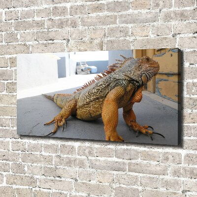 Canvas wall art Iguana