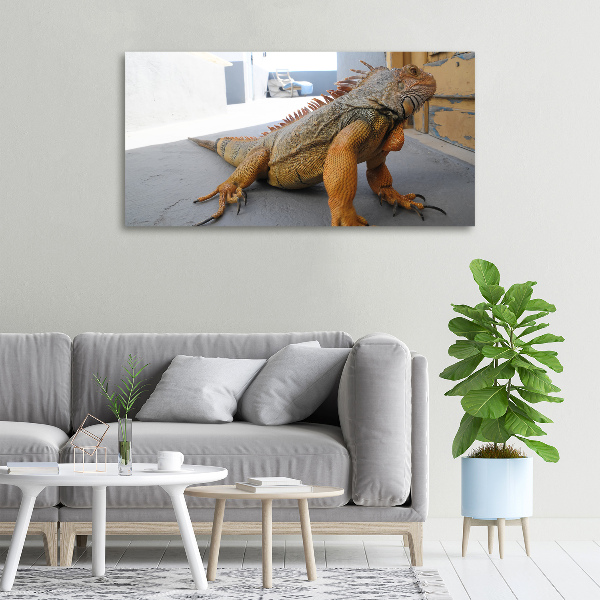 Canvas wall art Iguana