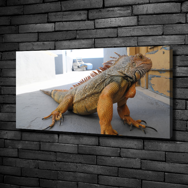 Canvas wall art Iguana